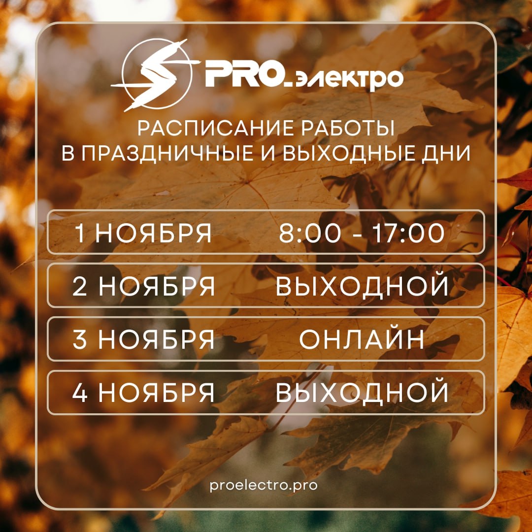 Расписание работы в праздничные дни