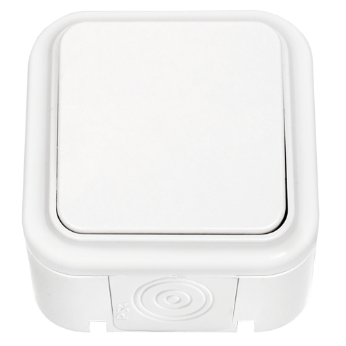 Выключатель открытой установки 1-кл. 6А белый IP54 ПРАЛЕСКА АКВА (РФ) Выключатель открытой установки 1-кл. 6А белый IP54 ПРАЛЕСКА АКВА (РФ)