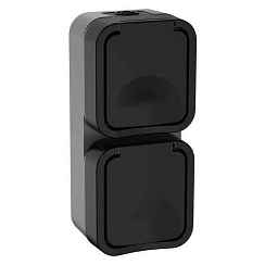 Розетка открытой установки 2-мест. с/з с з/ш вертикальная с крышкой 16А графит IP55 TORS IEK (РФ)