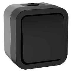 Выключатель открытой установки кнопочный 1-кл. 10А графит IP55 TORS IEK (РФ)