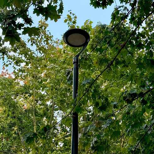  «Каштановый парк»: новая история с «ПРО_электро»