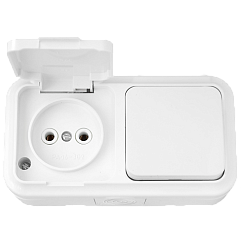 Блок открытой установки выкл. 1кл + розетка 1-мест.без/з без з/ш белый IP54 ПРАЛЕСКА АКВА (РФ)