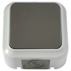 Выключатель открытой установки 1-кл. 6А серый IP54 ПРАЛЕСКА АКВА (РФ)